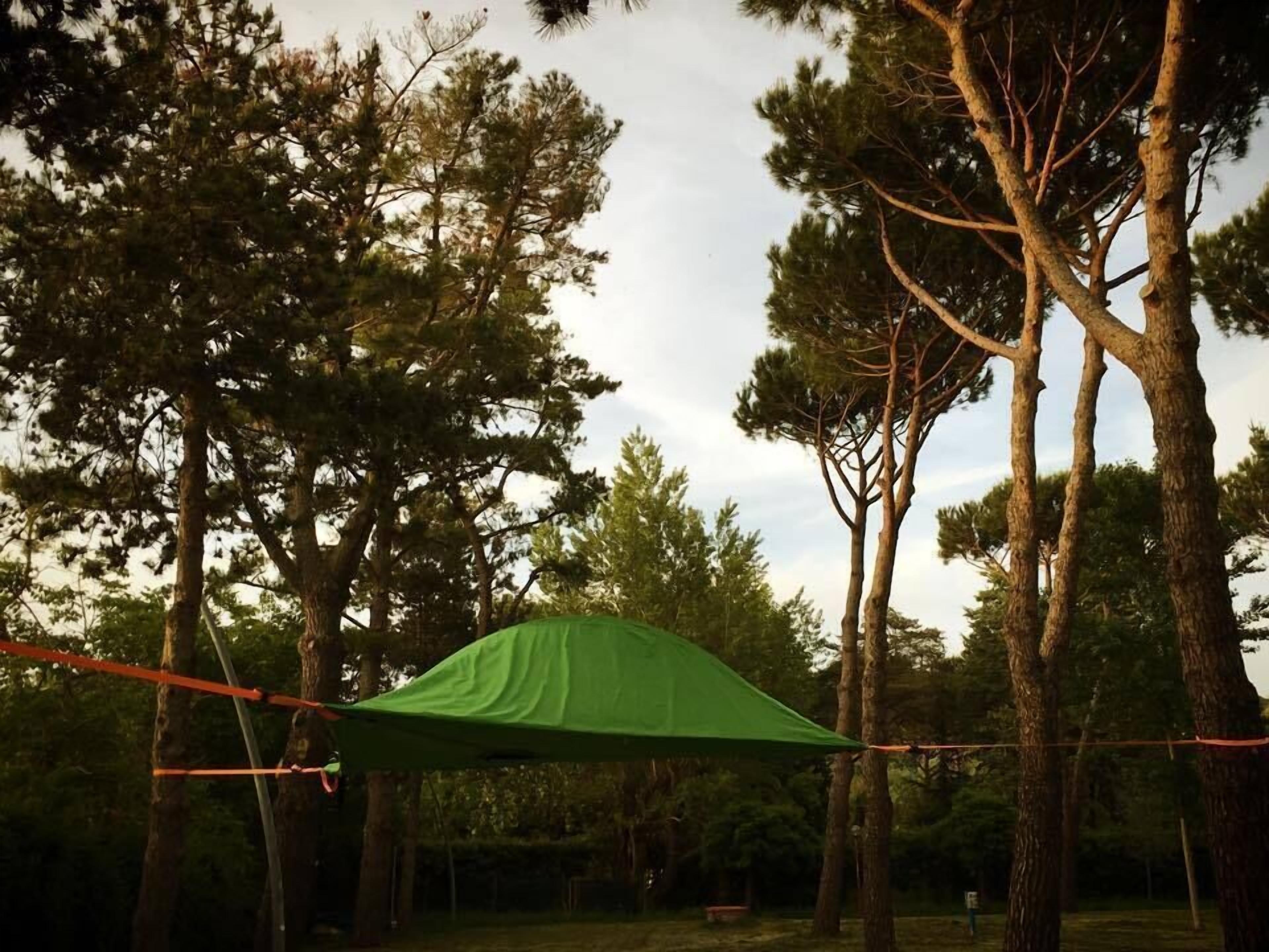 Una carpa montada entre árboles altos en un área boscosa.
