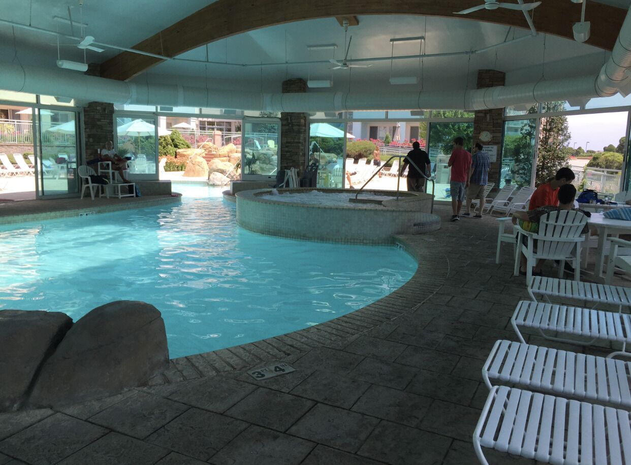 An indoor swimming pool with a curved edge, lounge chairs, and a view of the outside.