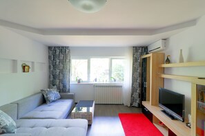 Basic Apartment
