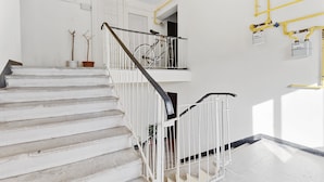 A staircase with white railings, a bicycle, and potted plants.