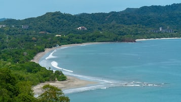 Beach nearby, white sand