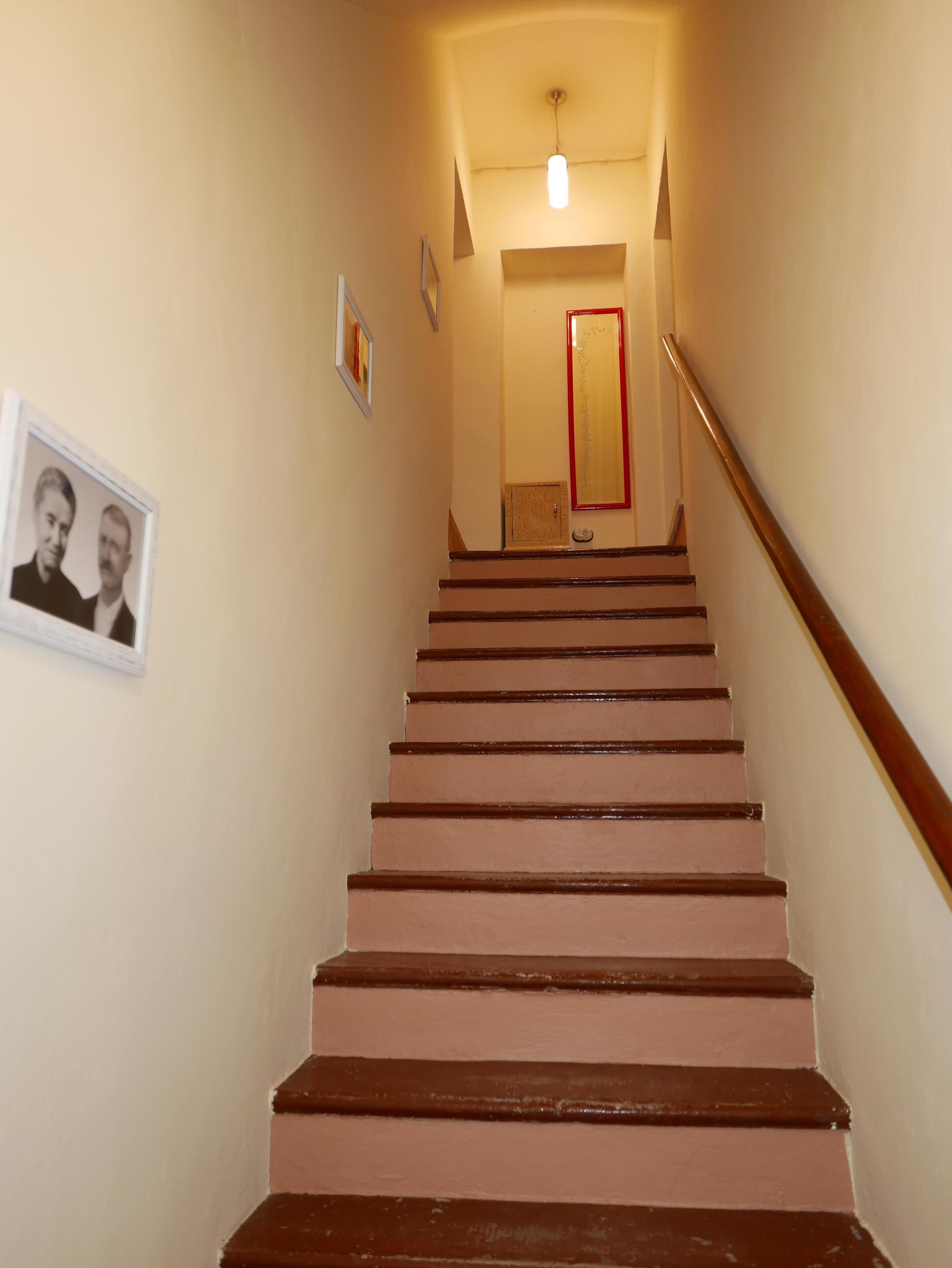 A staircase with wooden steps and a handrail, leading to a door with a red frame.