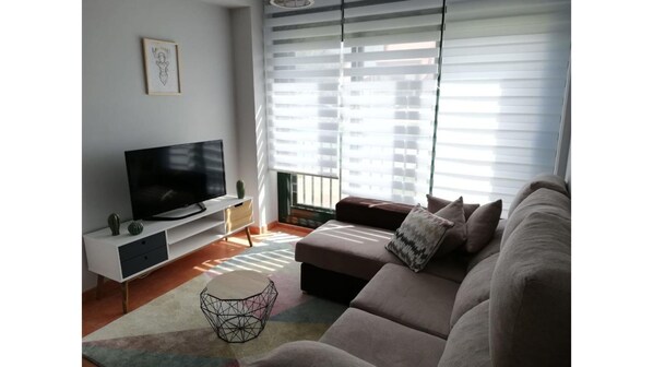 Flat-screen TV
