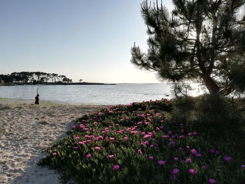 Confortable  Apartamento playa Riasón, con desayuno  y 2 bicis incluidas