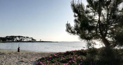 Comfortable apartment Playa Riasón, with breakfast and 2 bikes included