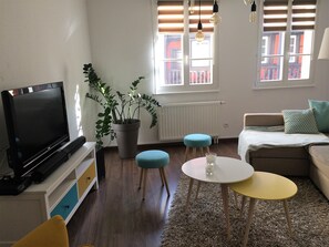 電視、DVD 播放機、書籍