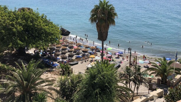 Ein Strand mit Sonnenschirmen, Liegestühlen und Palmen.
