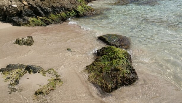 A rocky coastline with clear water, green vegetation, and a building in the background. - Luxury chalet: private pool, close to the beach, W-Lan incl., quiet location, village within walking distance  (Cala Mendia)