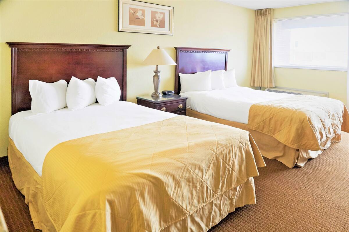 Una habitación de hotel con dos camas, una mesita de noche con lámpara y una ventana con cortinas.