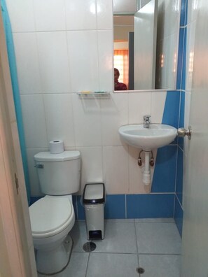 A small bathroom with a toilet, sink, and mirror. - El Palacio (Arequipa)
