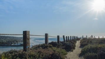 Chaises longues, serviettes de plage