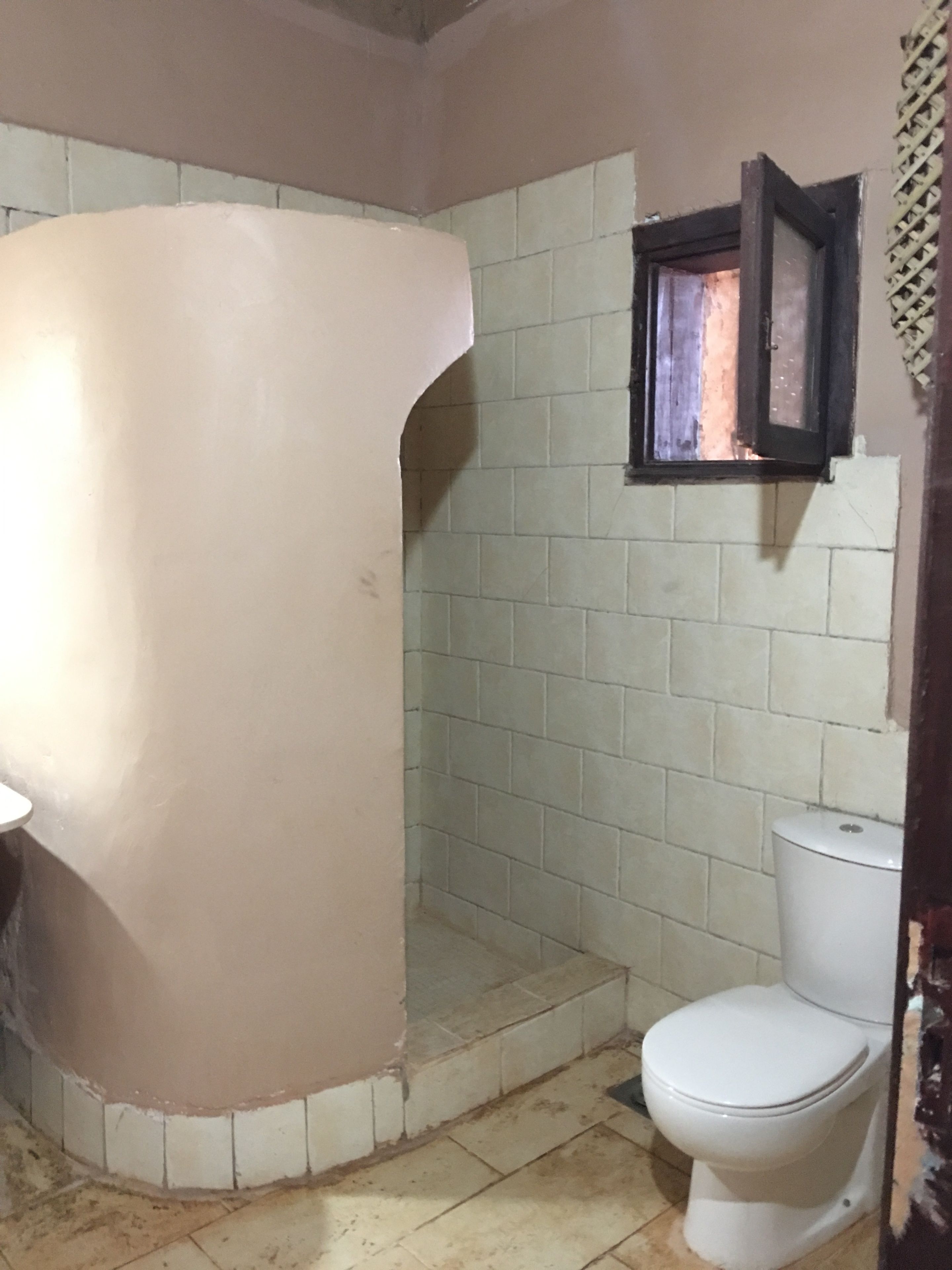 A bathroom with a white toilet, a shower area, and a tiled wall.