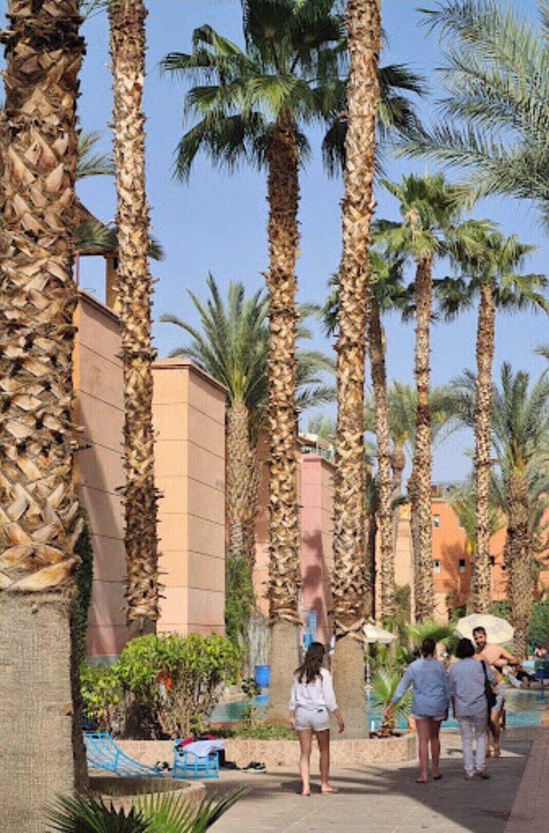 Photo - Riad with 3 Swimming Pools