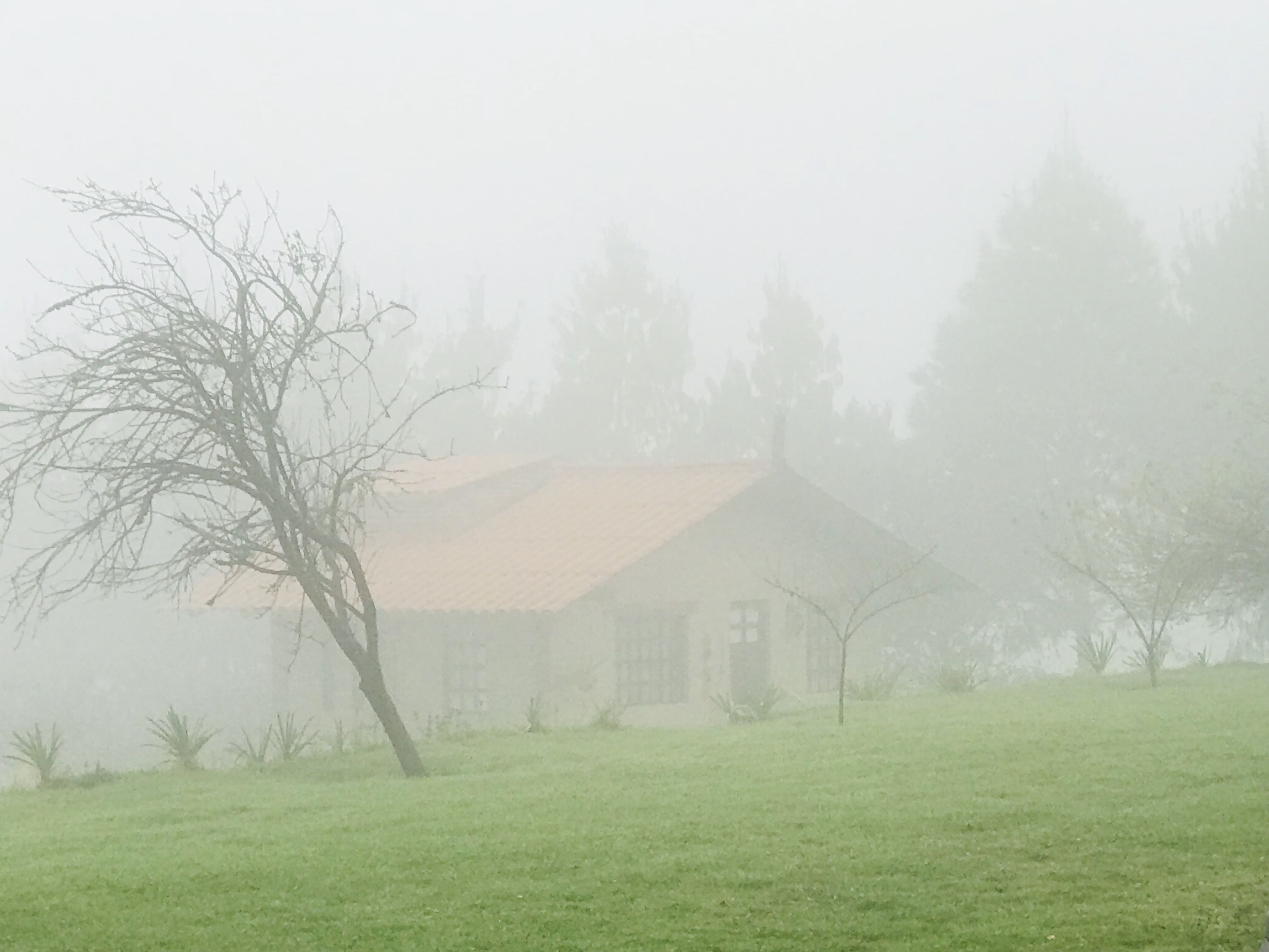 A foggy landscape with a house and trees.
