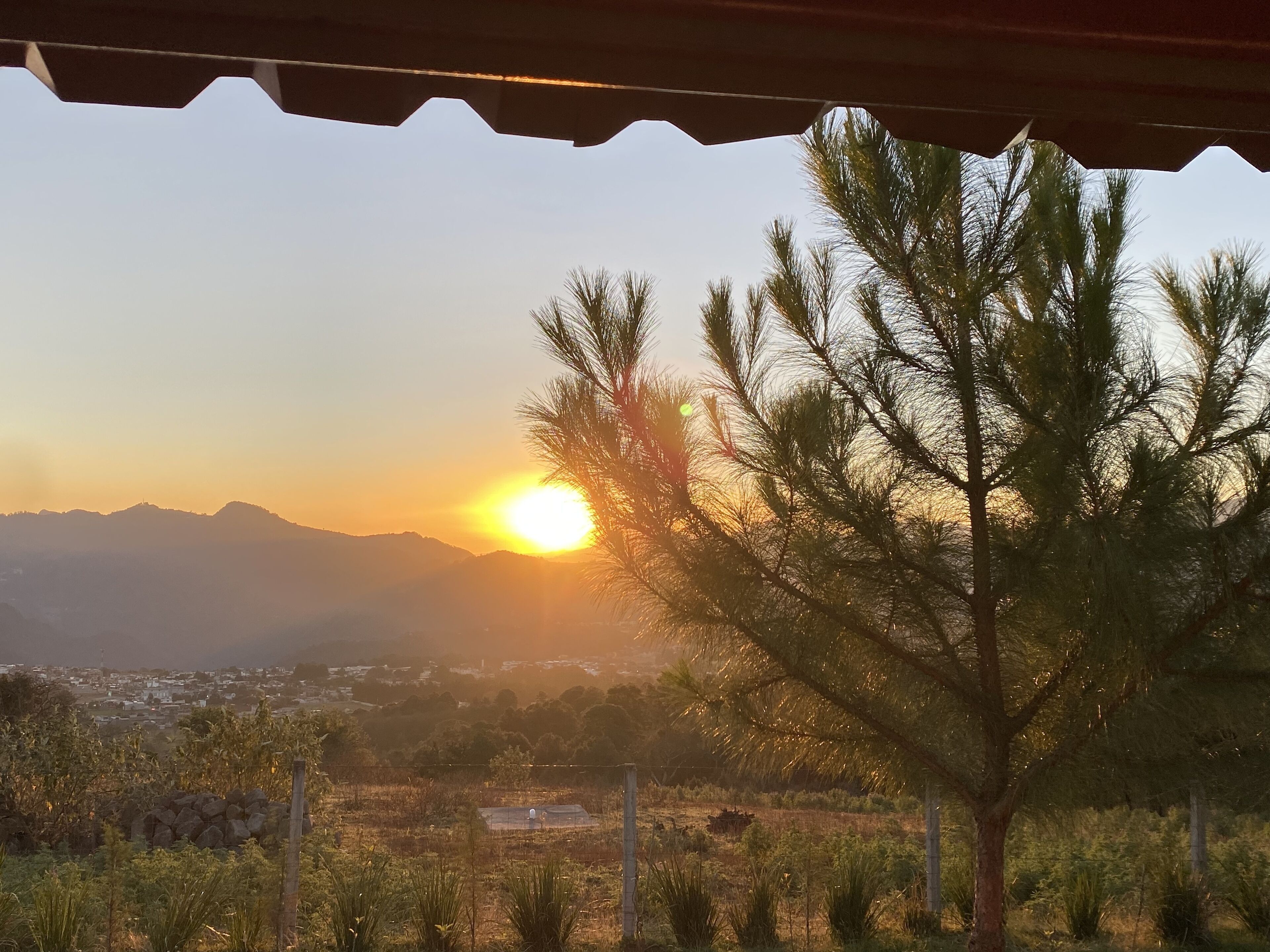 A sunset view from a covered area with a tree in the foreground and mountains in the background.