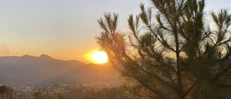A sunset view from a covered area with a tree in the foreground and mountains in the background.