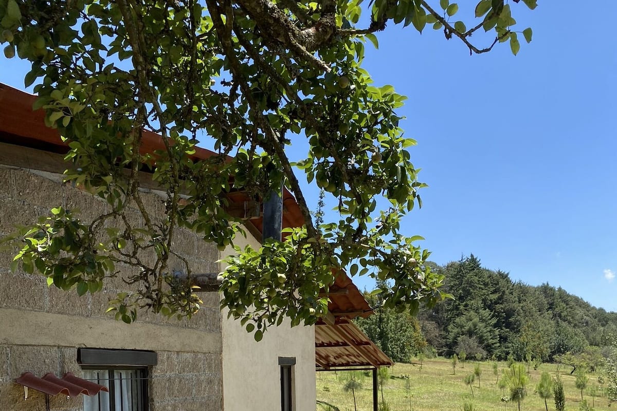 Romantic Cabin, Garden View (Peral) | 1 bedroom, premium bedding, individually decorated