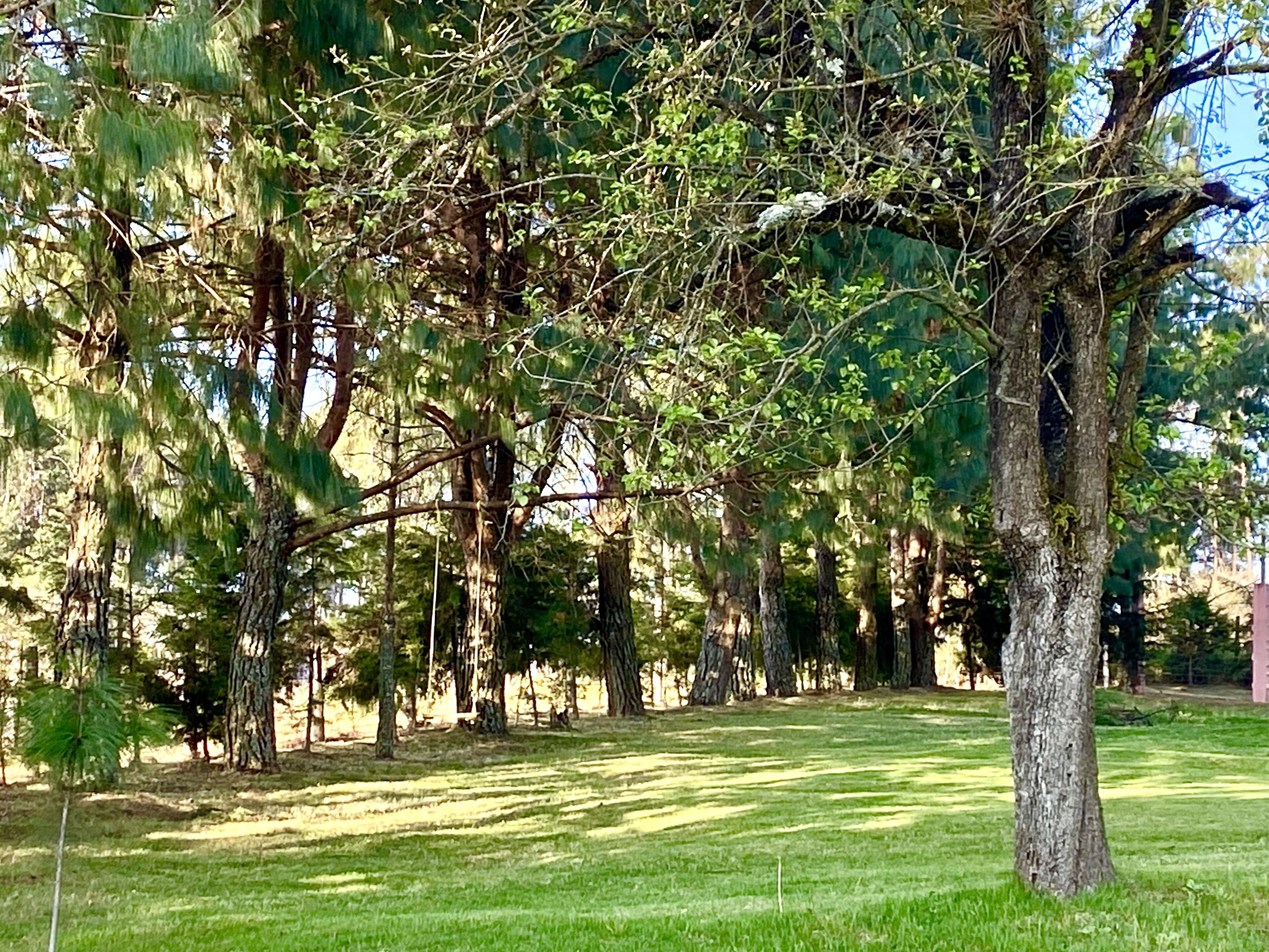 Un parc avec différentes espèces d’arbres et une zone herbeuse.