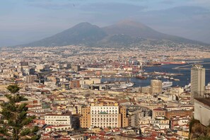 A coastal cityscape with a prominent mountain in the background, a harbor with ships, and dense urban buildings.