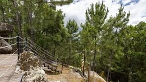 Un escalier en bois menant à un sentier rocailleux, bordé de pins.