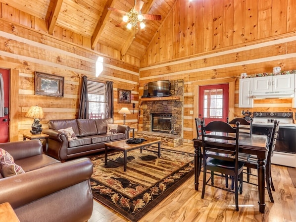 TV, fireplace, video games, DVD player