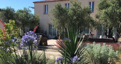 Bed and breakfast in Camargue