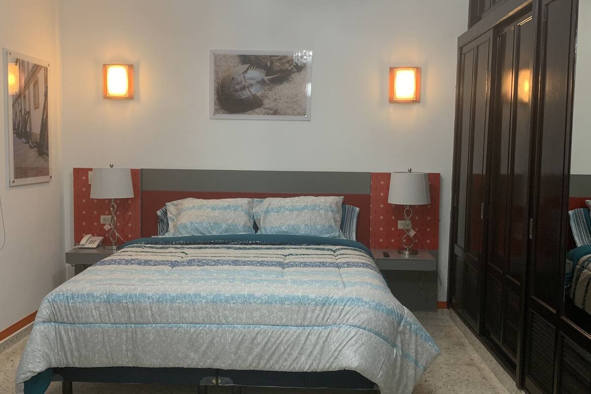 Egyptian cotton sheets, hypo-allergenic bedding, down duvets