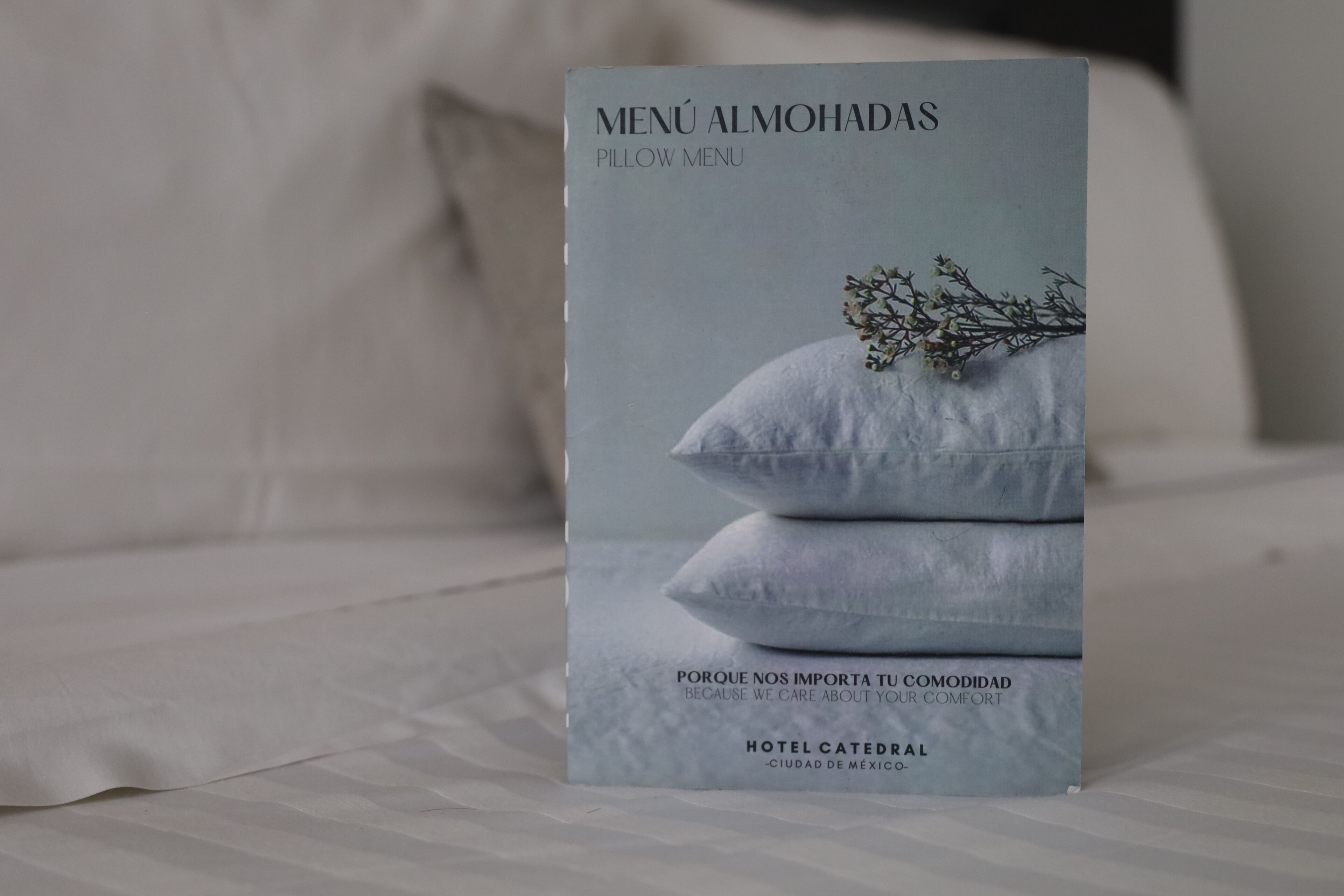 Foto - Hotel Catedral