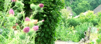 Villa Waldallee - Apartamento con vista al bosque, 84m²