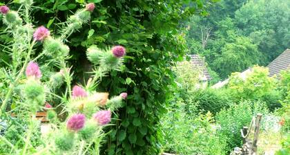 Villa Waldallee - Apartamento con vista al bosque, 84m²