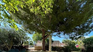 Un espace extérieur verdoyant, avec un grand arbre qui offre de l’ombre, un mur en pierre et quelques chaises.
