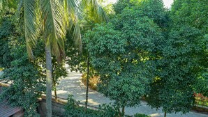 A paved pathway surrounded by lush greenery and a metal fence. - Magnolia Inn near GNRC & Secretariat, GS Rd (Guwahati)
