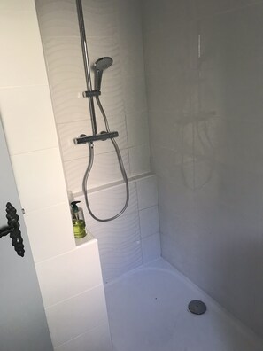 Shower, hair dryer