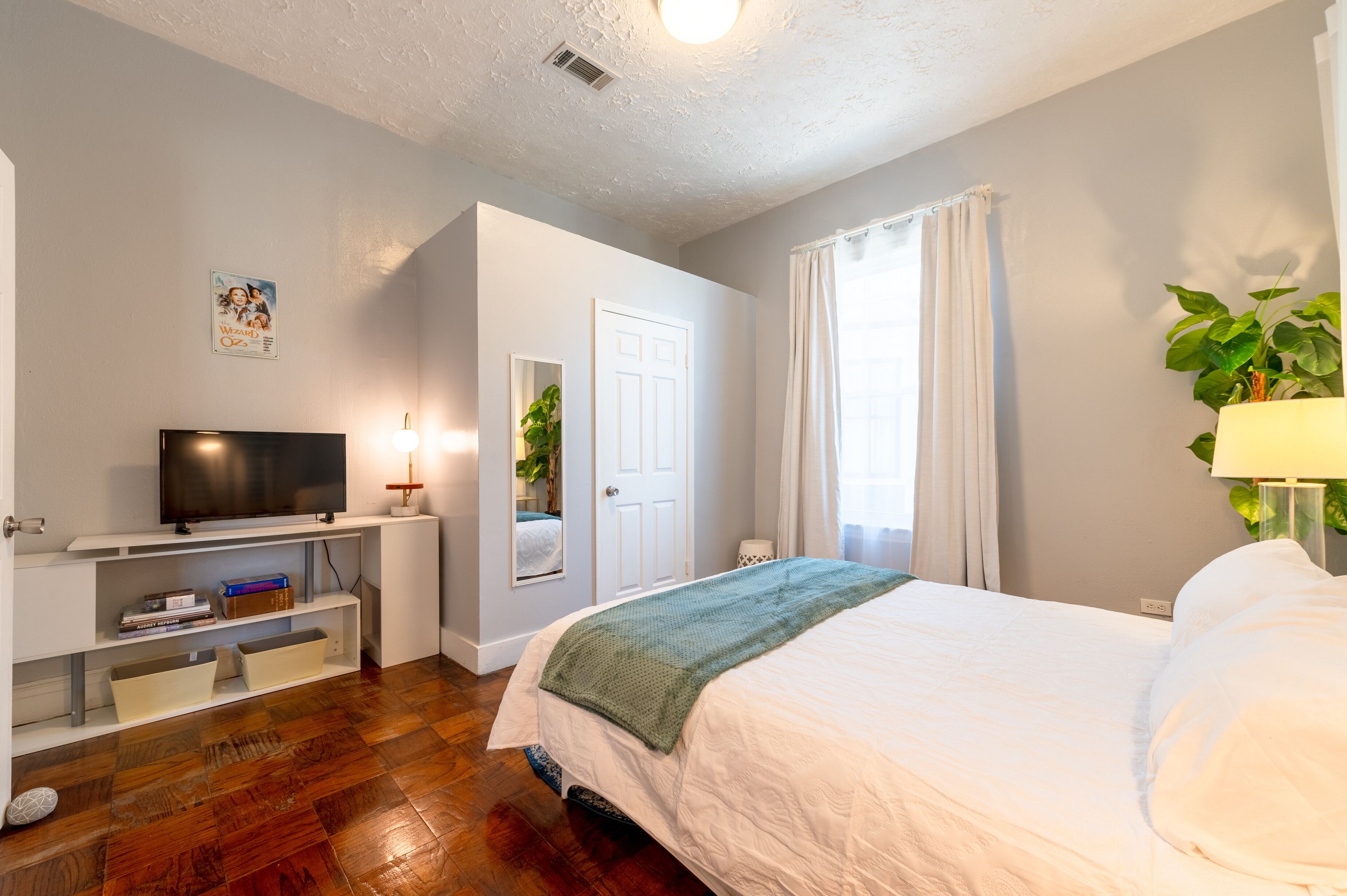 A bedroom with a bed, a TV, a shelf with books, a plant, and a door.