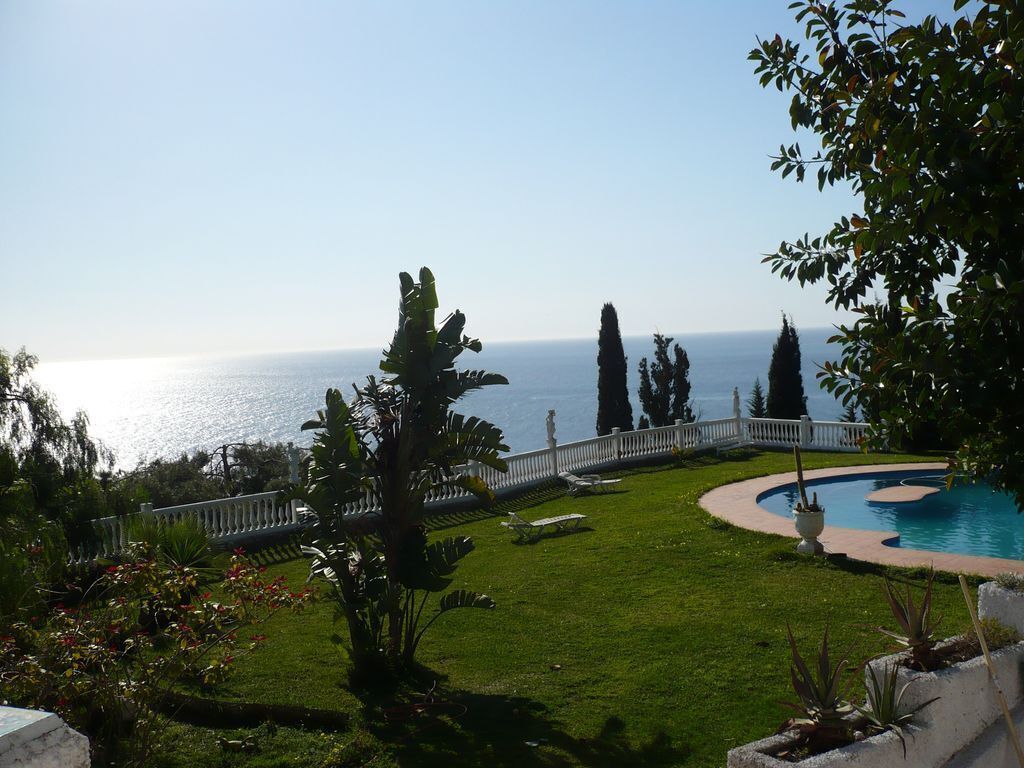 A pool with a curved edge, surrounded by a white fence and a grassy area with various plants.