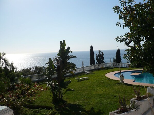 A pool with a curved edge, surrounded by a white fence and a grassy area with various plants.