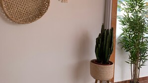 A room with a large window, a woven basket, a mirror, and a cactus plant. - renovated beach apartment  (Playa de las Americas - Arona)