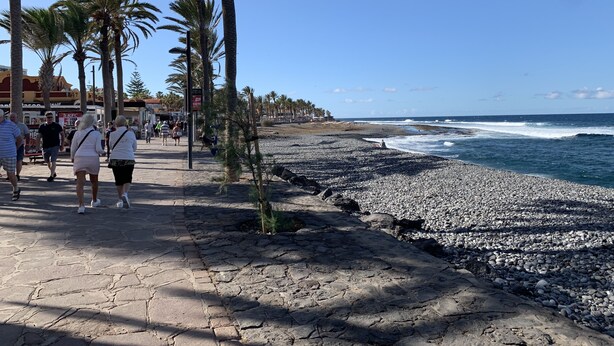A coastal promenade with palm trees, a pebble beach, and a clear blue sky. - renovated beach apartment  (Playa de las Americas - Arona)