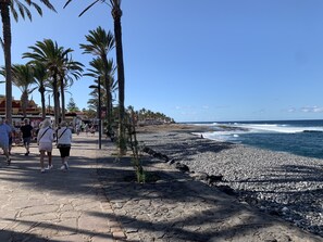 Eine Küstenpromenade mit Palmen, einem Kiesstrand und blauem Himmel.