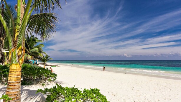 On the beach, white sand - Jungle Villa With Private Pool (Tulum)
