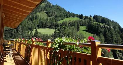FeWo Mooslechnerhof in a beautiful quiet location