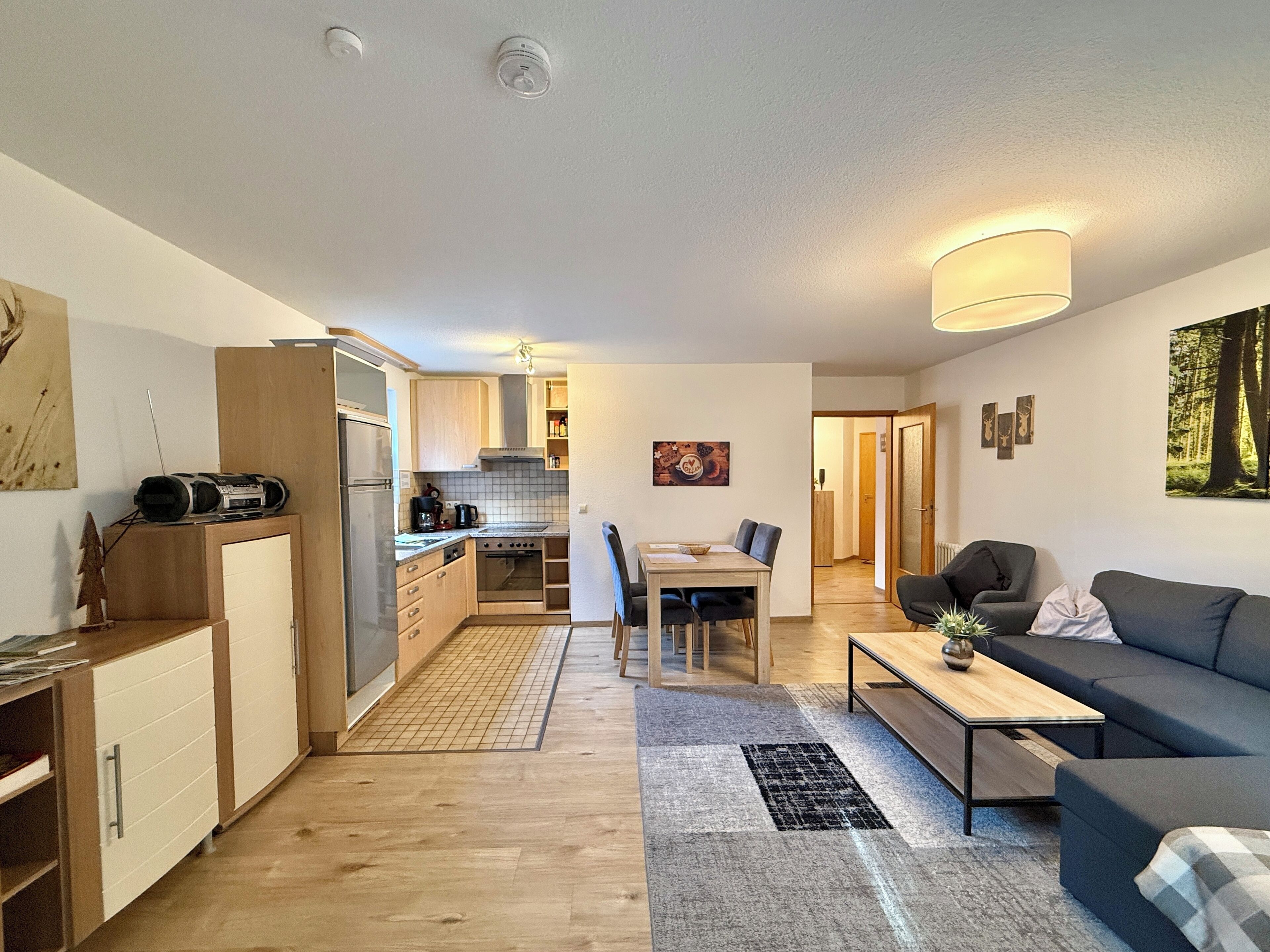 TV, DVD player, table tennis, books