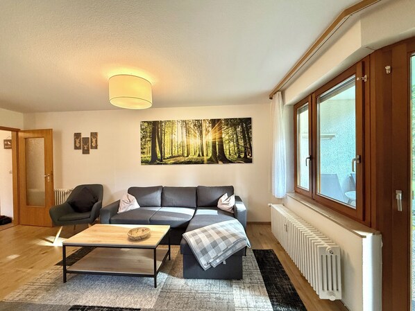 TV, DVD player, table tennis, books