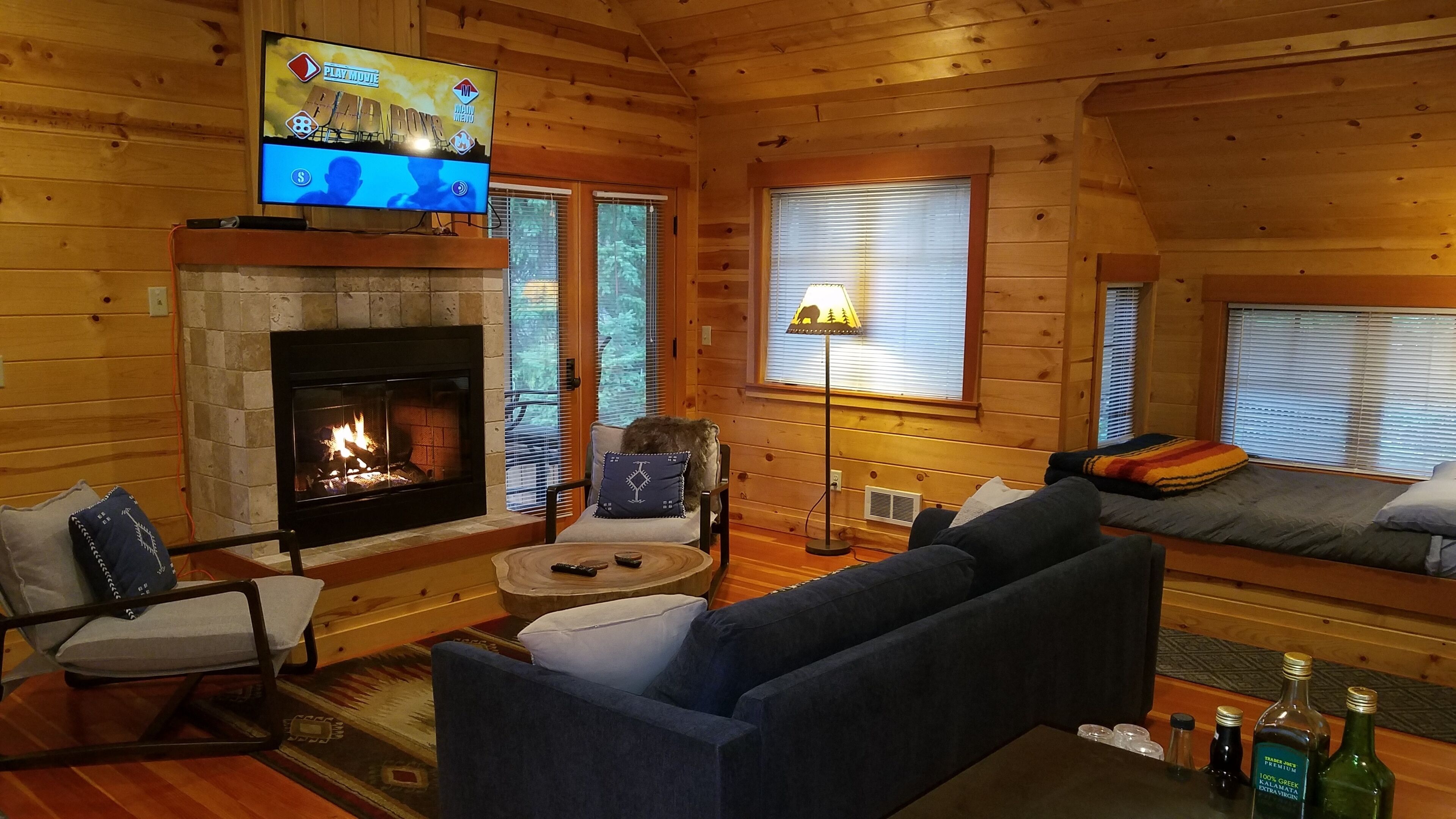 Smart TV, fireplace, DVD player, books