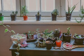 Interior - Vila Santa Eulália Hostel (Pelotas)