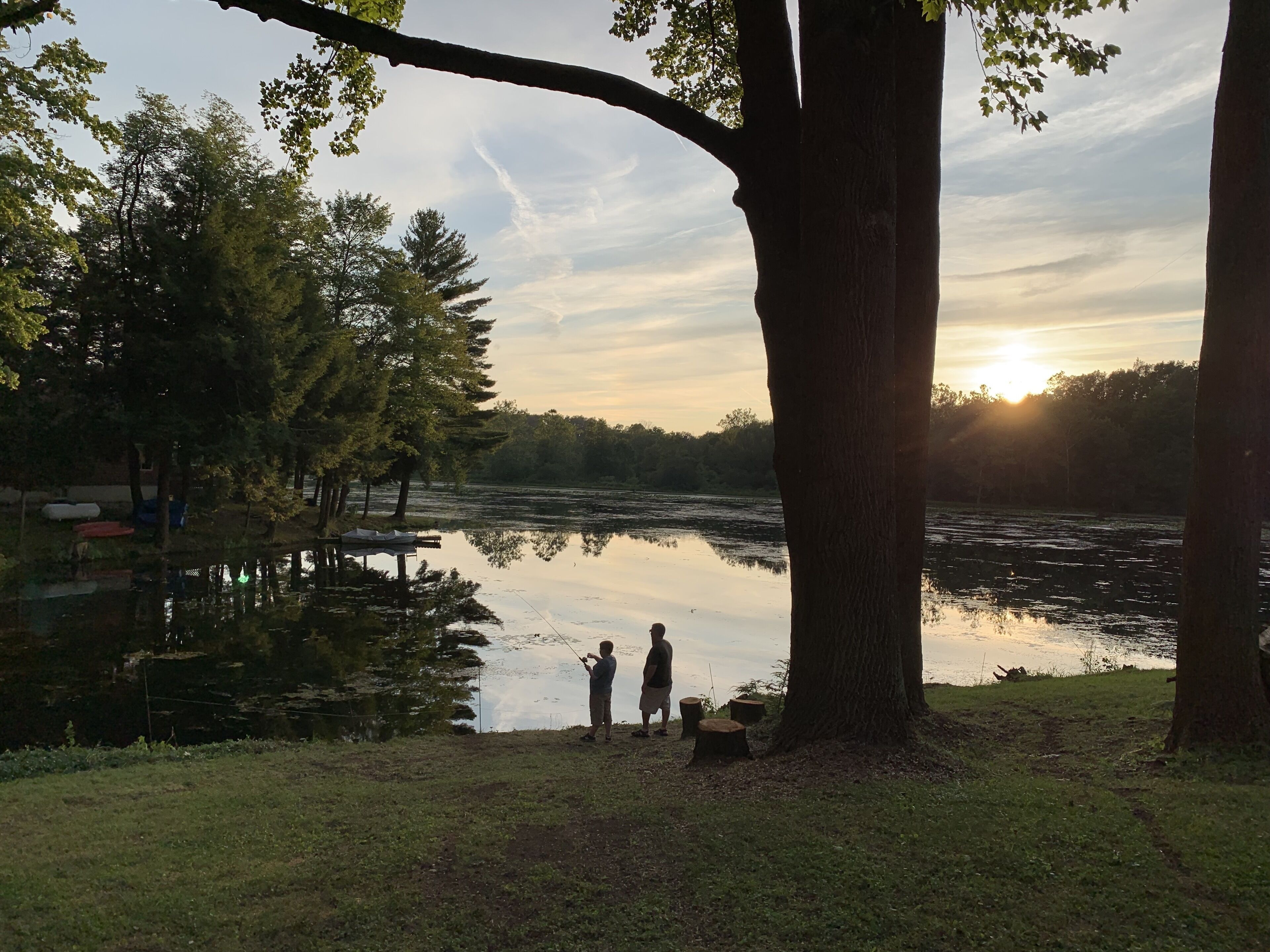 A serene lakeside scene with a large tree, a dock, and a person fishing.