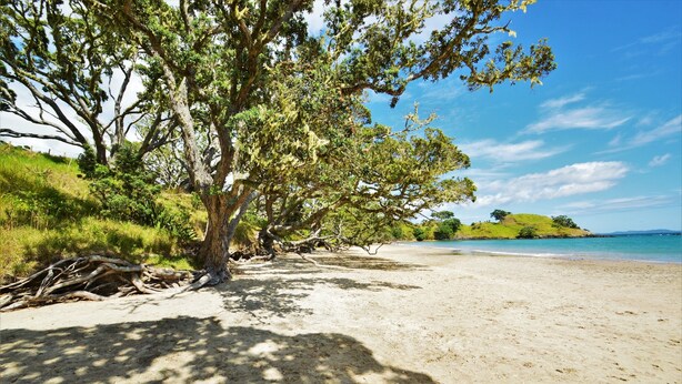Unclassified image, 1 of 9, button - BeachBox Boutique Accommodation (Coopers Beach)
