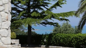 A stone wall, a large evergreen tree, and a view of the sea. - Villa Hibiscus - Panoramic studio for 2 people in a villa with pool (Vieste)