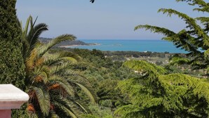 A coastal landscape with dense greenery and a view of the sea. - Villa Hibiscus - Panoramic studio for 2 people in a villa with pool (Vieste)