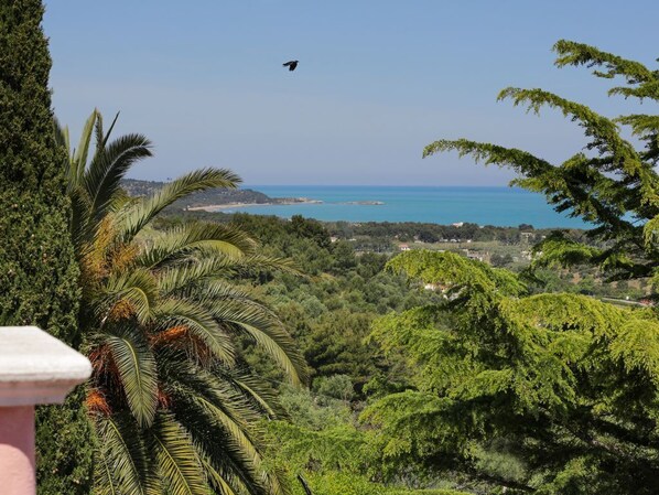 Eine Küstenlandschaft mit dichter Vegetation und Blick auf das Meer.